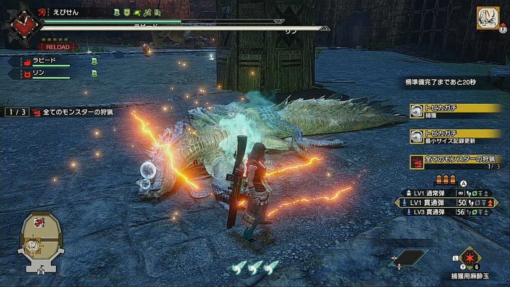 モンハンサンブレイク 金冠コンプへの道 トビカガチ最小最大編 ライズ金冠集め えびせんのゲーム録