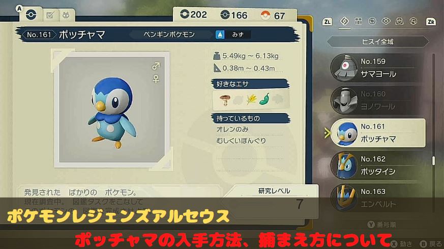 ポケモンレジェンズ　アルセウス　ポッチャマ　ポッタイシ　エンペルト　場所　入手　進化　どこ