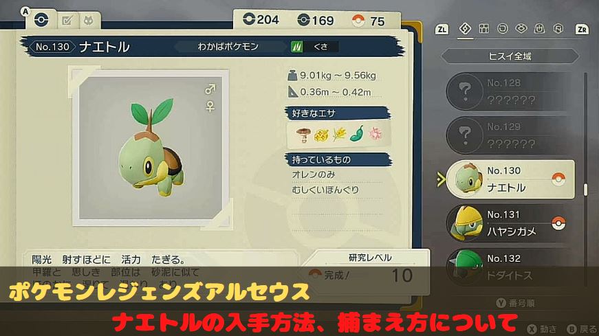 ポケモンレジェンズ　アルセウス　ナエトル　ハヤシガメ　ドダイトス　捕まえ方　入手　どこ　場所